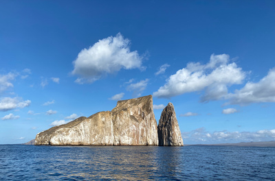 Galapagos - Kämpfen gegen das Artensterben