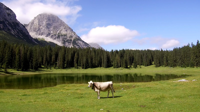 Sinfonie der Alpenseen