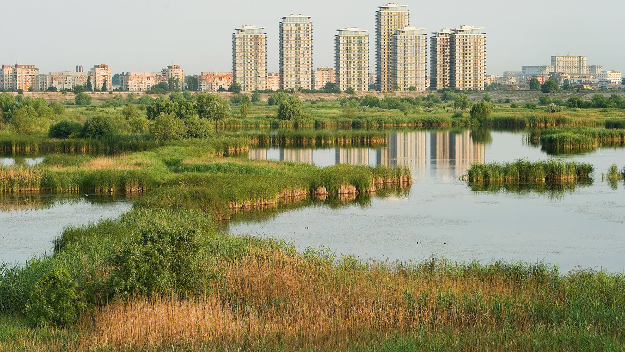 "Metropolen des Balkans (5/5) - Bukarest": Der Vacaresti Naturpark mitten in Bukarest.