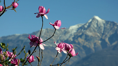 Wunderwelt Schweiz: Das Tessin
