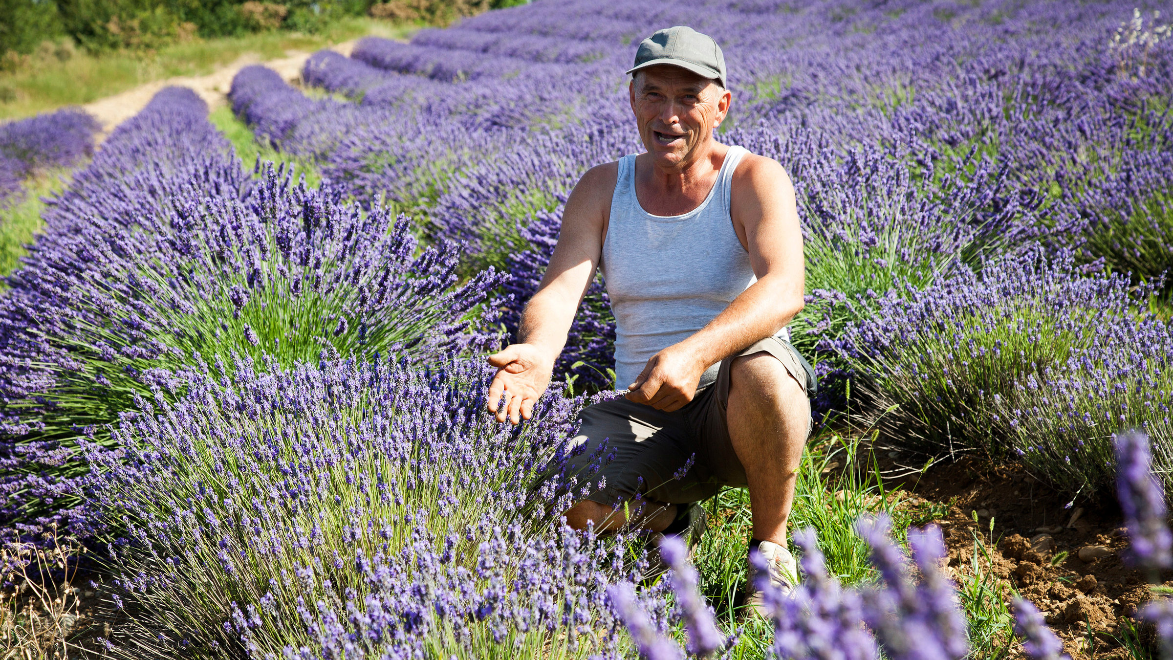 "Kräuterwelten - In der Provence" - Bauer Gérard Blanc kämpft gegen die Lavendelseuche.