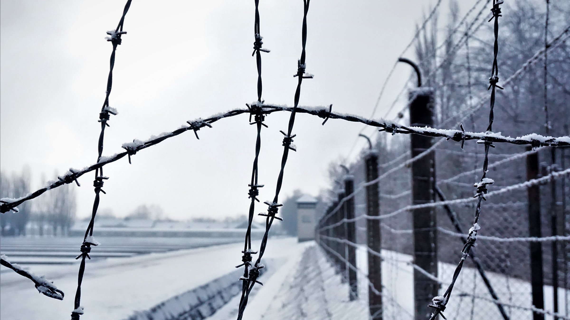 "24 Stunden Dachau": Dachau: Nahaufnahme des Stacheldrahtzauns im Schnee. Im  Hintergrund ist ein Wachturm zu erkennen.