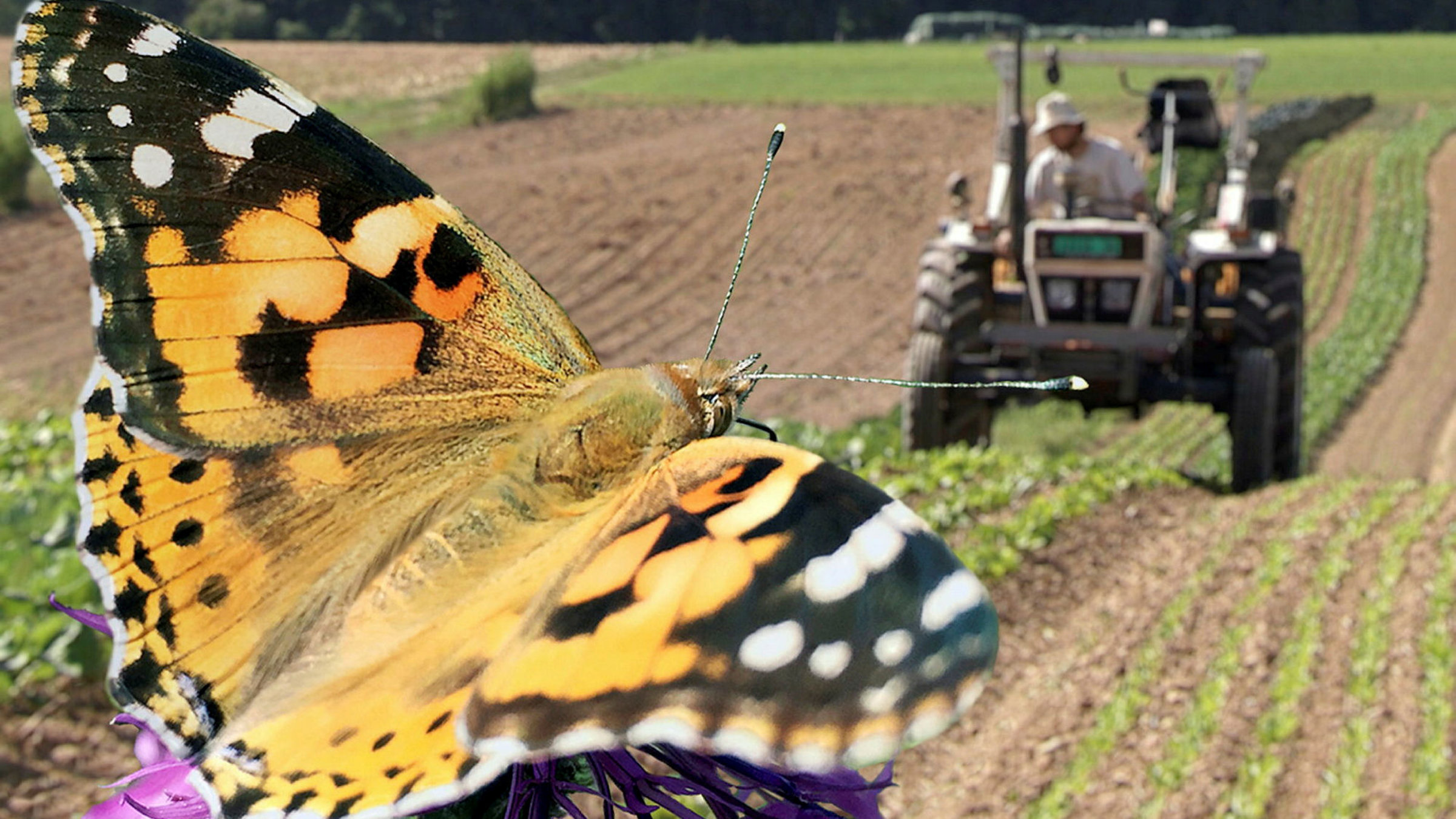 "NETZ NATUR - Landwirtschaft – mit der Natur!": Natur und Mensch im Einklang - So gewinnen alle.