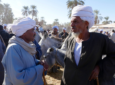 An den Ufern des Nil: Zwischen Assuan und Luxor