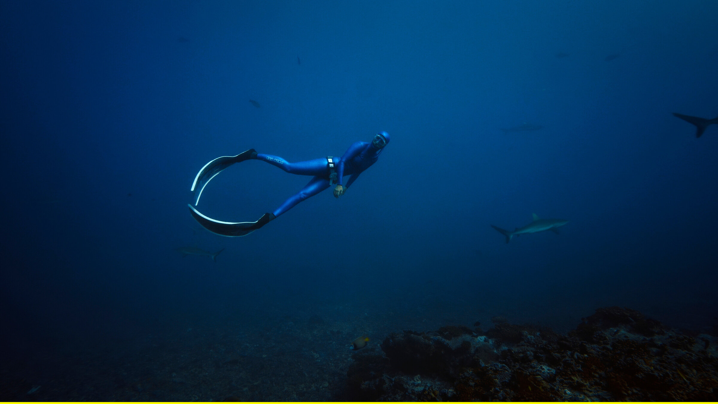 "Waterwoman (1/4) - Tahiti - Paradiesisches Wasser in Polynesien": Anna von Boetticher beim Laichtreffen der Zackenbarsche mit Riffhaien auf Fakarava.