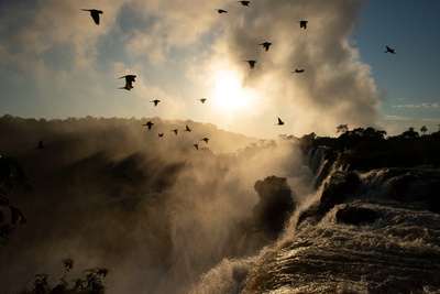 Sieben Kontinente - Ein Planet (3/7)