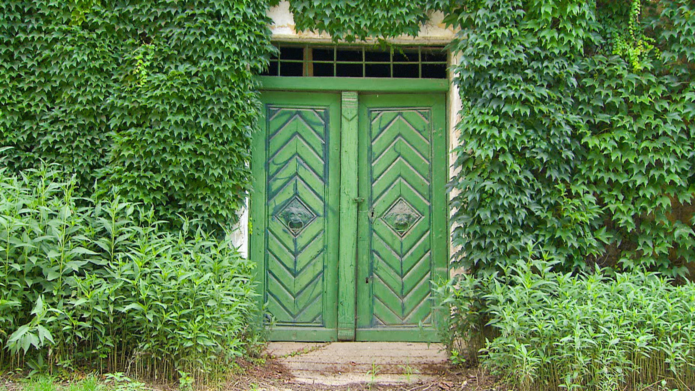 "Kellergassen in Niederösterreich": Großkrut.