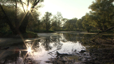 Fluss ohne Grenzen - Auenwildnis an der March