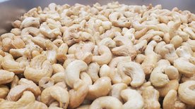 makro: Cashew und Co.