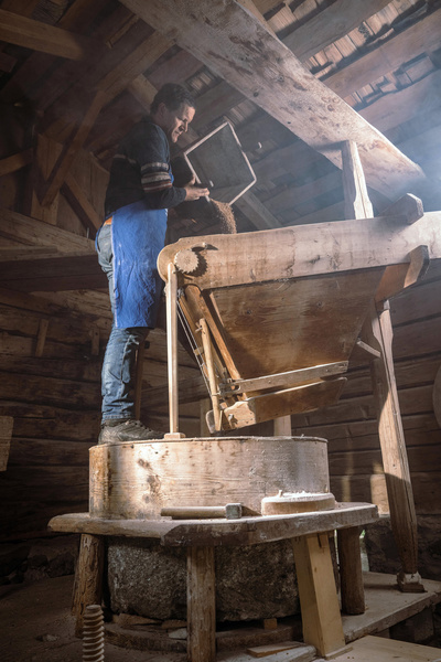 Bergbauernleben: Der Frühling
