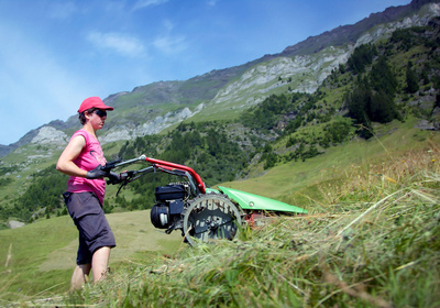 Bergbäuerinnen in Südtirol - Von Tradition<br/>und Zukunft