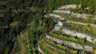 Traumorte - Cinque Terre