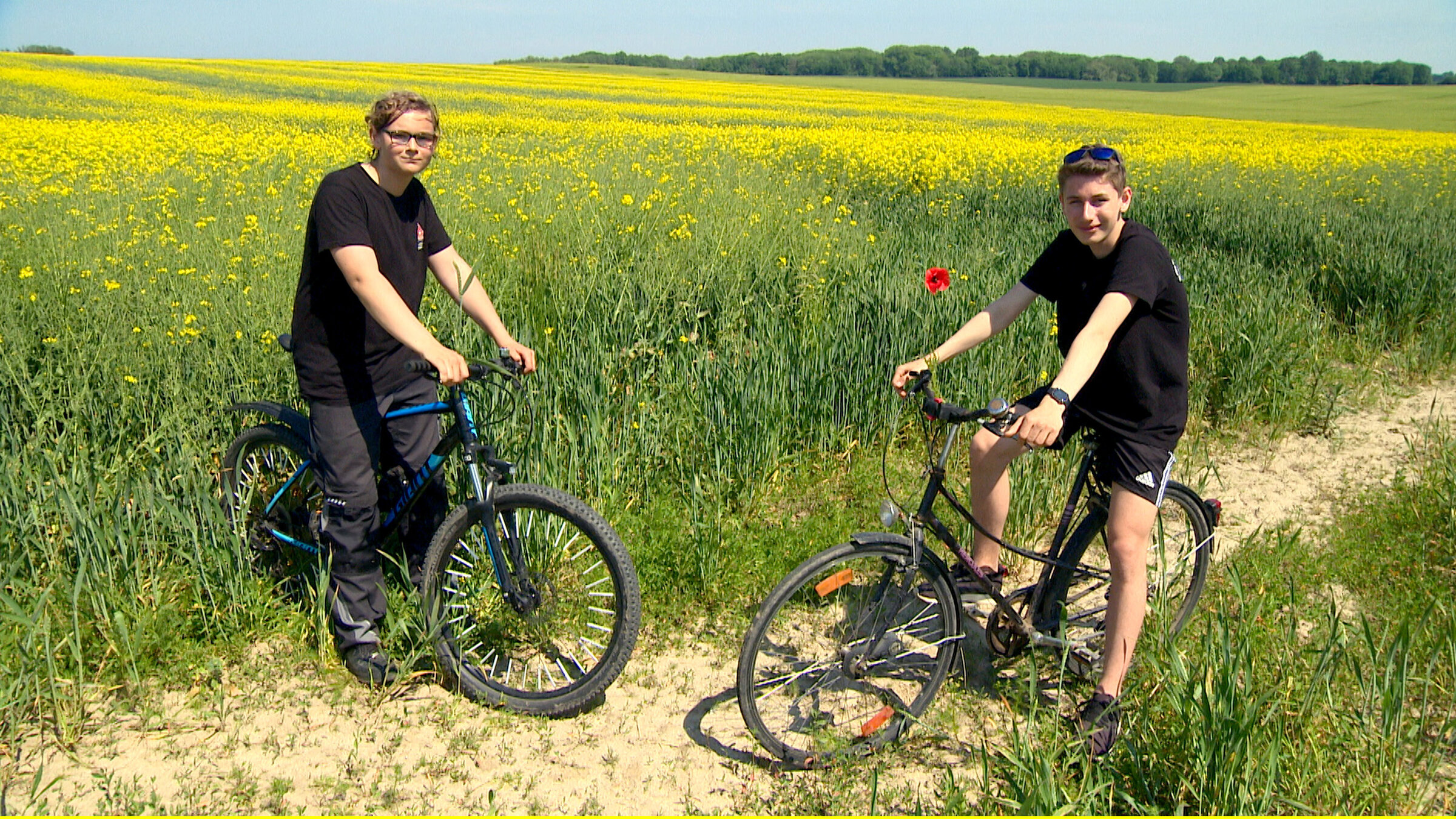 "Auf dem Ostseeradweg durch Mecklenburg-Vorpommern - Die Küste entlang von Lübeck bis Rügen": Zwei Jungs vom Dorf mit Prima-Ferienjob: Niklas und Jonas sind die Aufbauhelfer einer mobilen Kuchenbackstation direkt am Ostseeradweg.