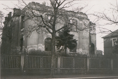 Waffenstillstand - Mein Sommer '45 in Dresden