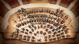 Frühling in Wien 2024