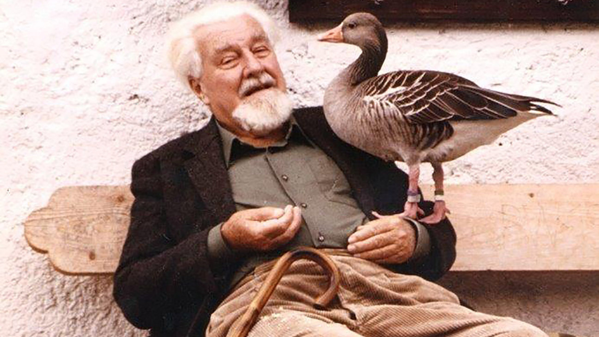 "Waldrapp, Wolf und Graugans - Die Konrad Lorenz": Univ.-Prof Dr. Konrad Lorenz  (7. November 1903, ? 27. Februar 1989).