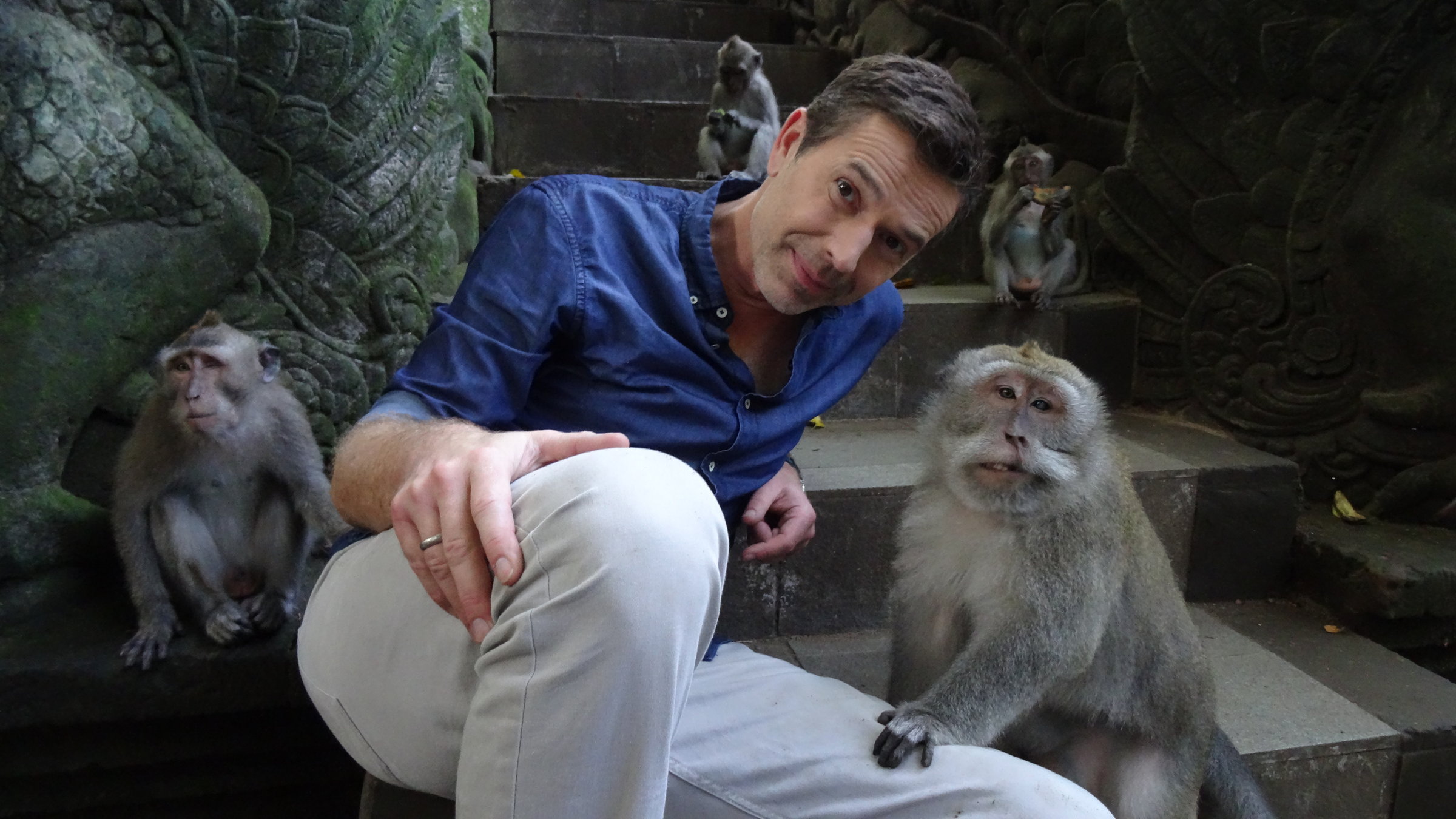 "Terra X: Sternstunden der Evolution mit Dirk Steffens - Der Anfang von allem": Moderator Dirk Steffens sitzt auf einer Treppe. Mehrere Makaken sitzen neben ihm. Einer hat eine Pfote auf Steffens Bein gelegt.