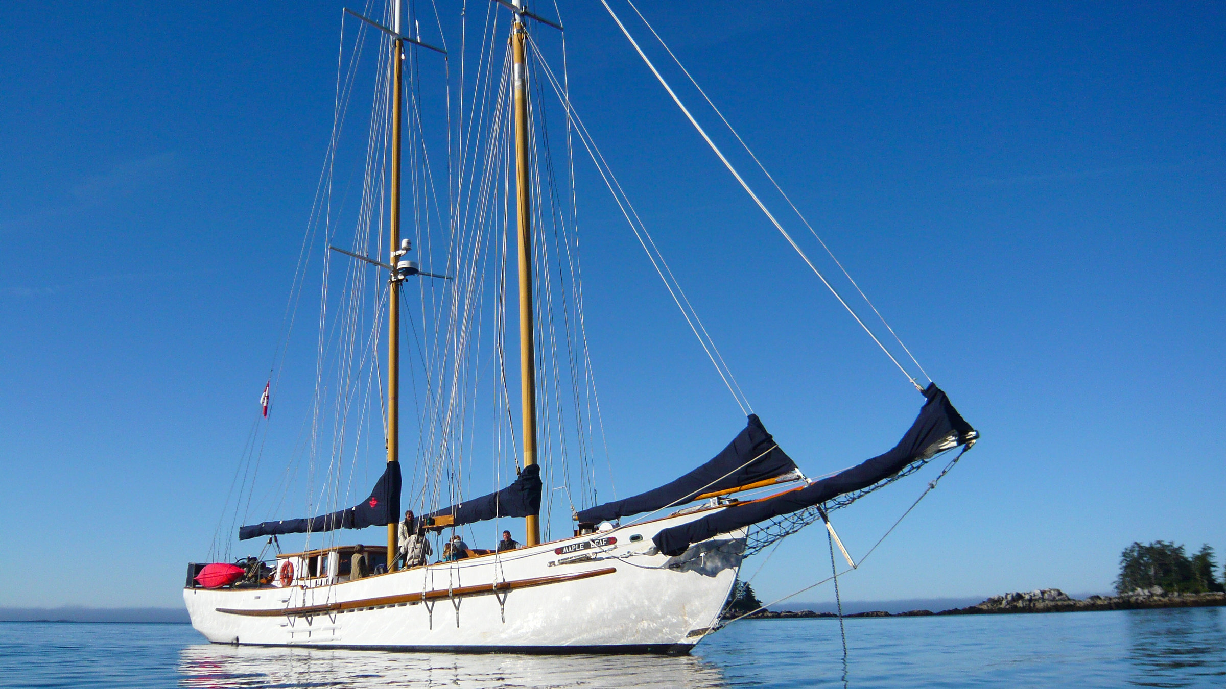 "Wale und wilde Inseln: Die "Maple Leaf" auf dem Wasser.