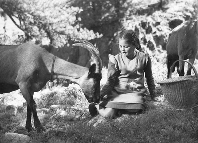 Heidi