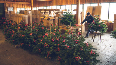 Zdf.reportage - Das Christkind Kommt Per Post