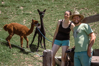 Bergbauernleben: Der Frühling