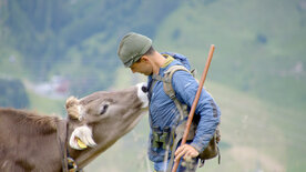 Almgeschichten aus Tirol