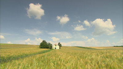 Weinviertel - Weites Land
