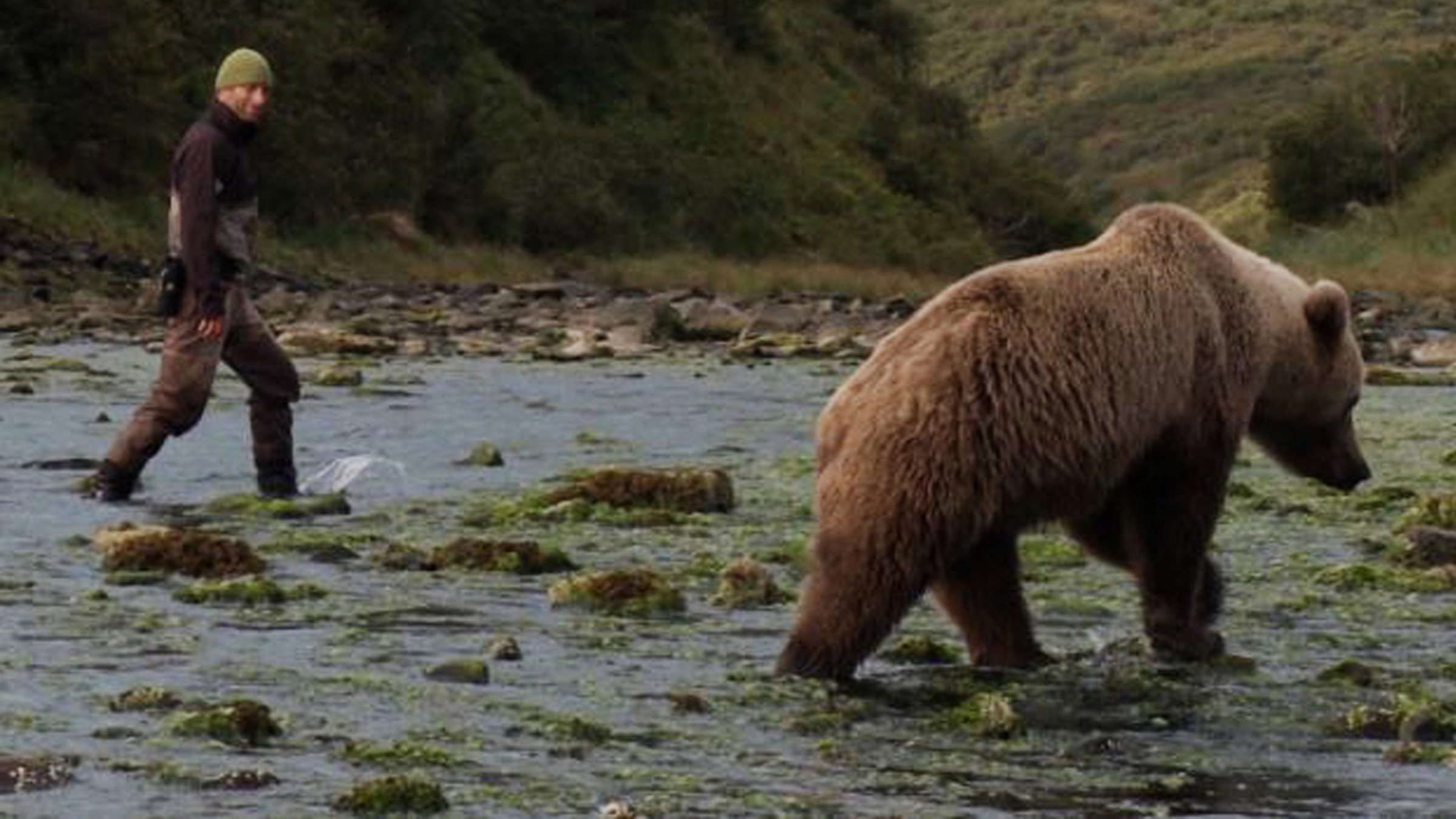 "Der Bär in mir": David Bittner kennt den Umgang mit Bären.