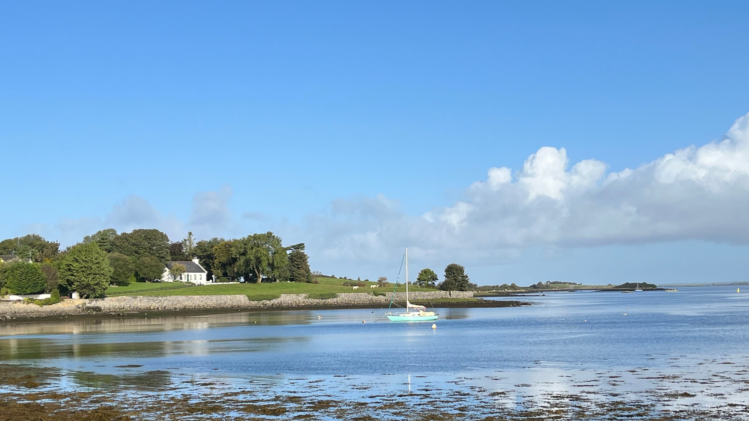 "Reif für die Grüne Insel? Wenn es Deutsche nach Irland weht": Natur pur - Die Grüne Insel und ihre Schätze: Irlands Küste mit Segelboot.