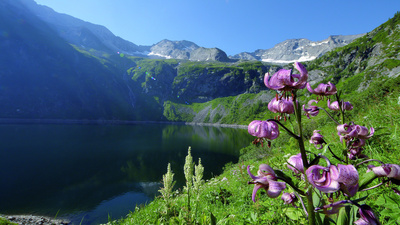 Lungau - Wildnis im Herzen der Tauern