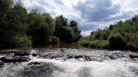 Wasserwege in Österreich - Die Leitha
