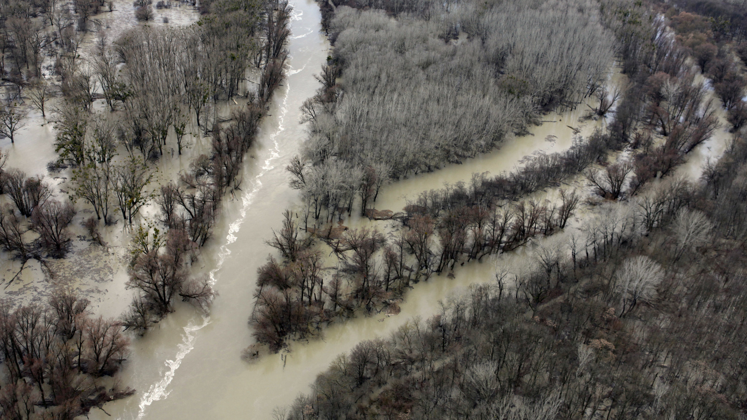 "Donau - Lebensader Europas: Zwischen Flut und Frost": Luftaufnahme vom Nationalpark Donauauen im Winter.