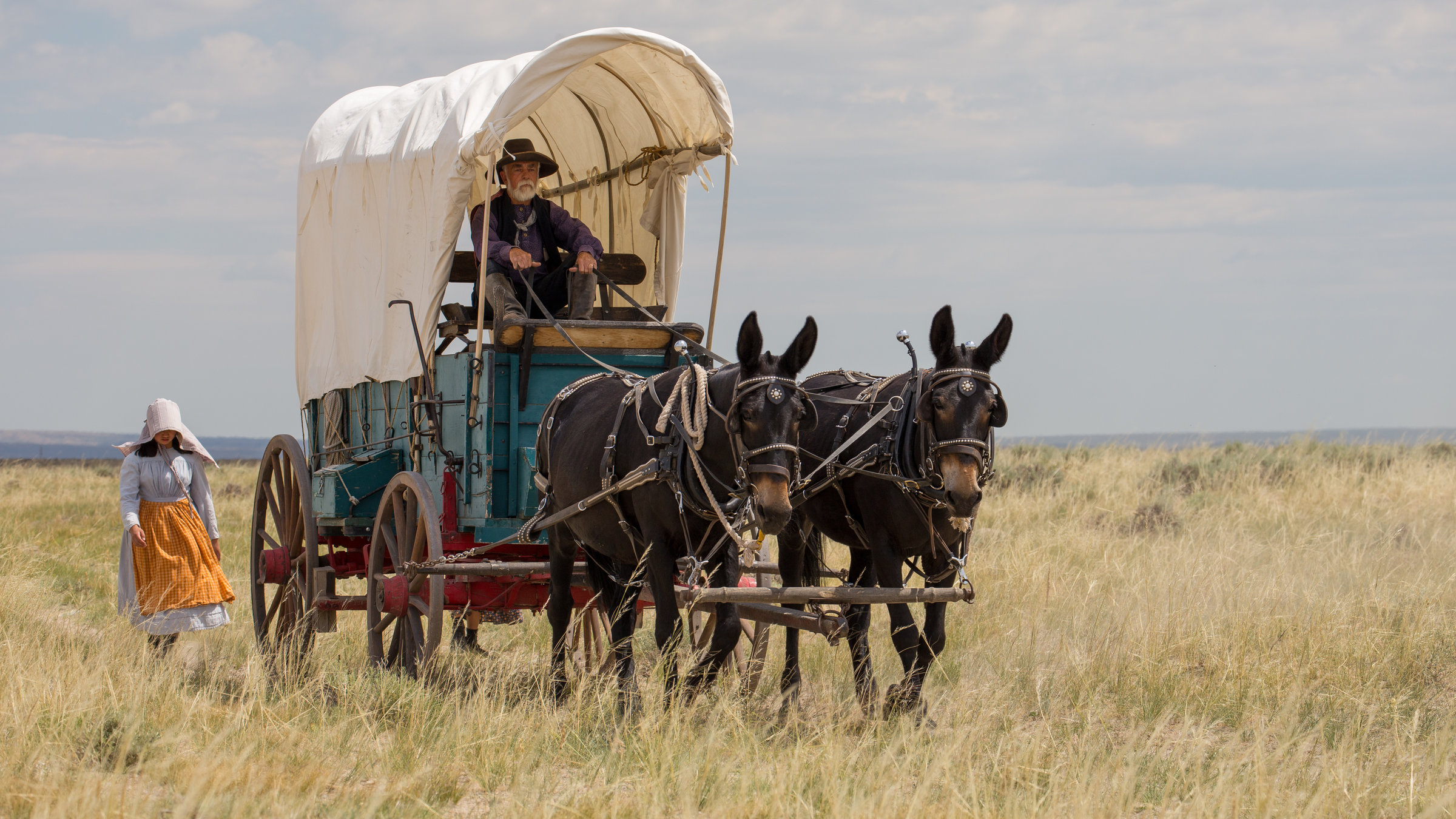 "Wilder Westen (2/3) - Great Plains": Eine weite flache Graslandschaft mit hohem Himmel. Ein Planwagen wird von zwei Mauleseln gezogen. Den Wagen lenkt ein älterer Mann mit weißem Bart. Hinter dem Wagen geht ein junges Mädchen in Tracht des 19. Jahrhunderts mit großer weißer Haube.