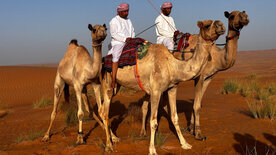 Abenteuer Oman (1/2)