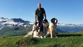 Schweizer Hundegeschichten: Der Bernhardiner<br/>vom Großen Sankt Bernhard - Weit mehr als ein Mythos