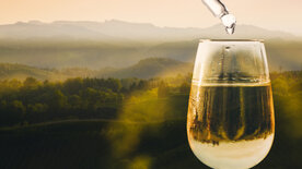 Der große Weinskandal – Panscher und Profit