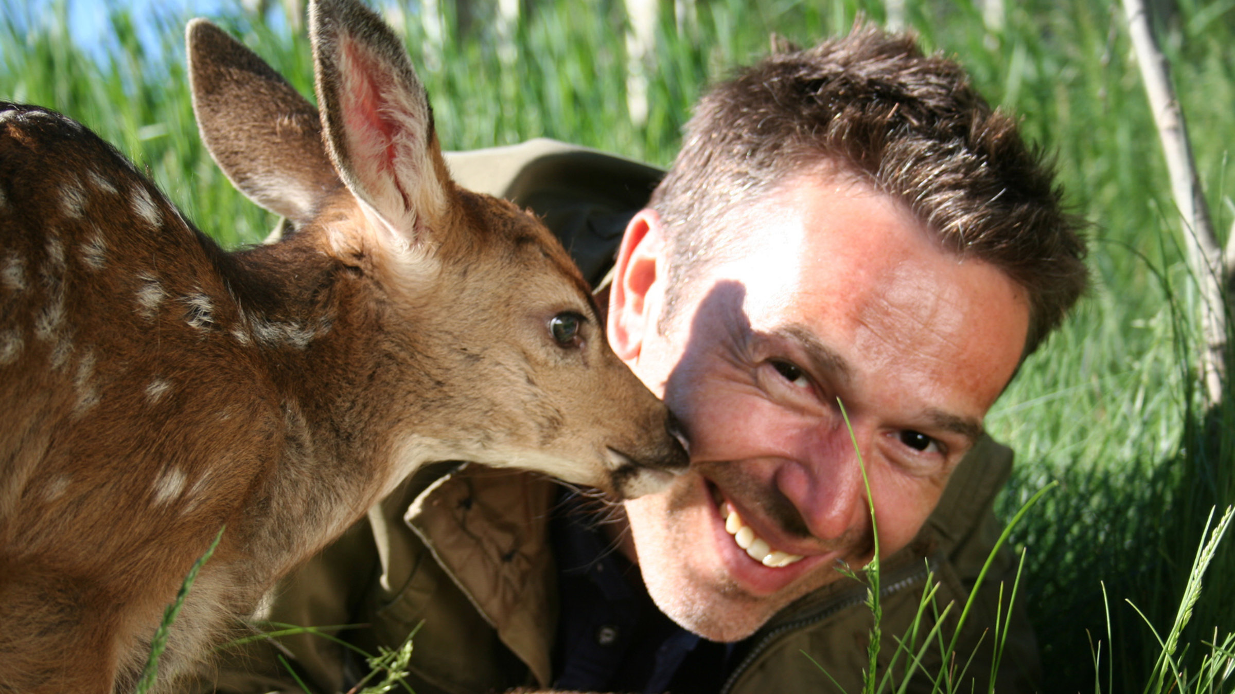 "Steffens entdeckt: Rocky Mountains" - Dirk Steffens bringt das verlassene Rehkitz in eine private Auffangstation.