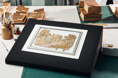 Das Grazer Mumienbuch