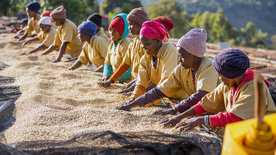 30 Jahre Fairtrade - Ein Gütesiegel und seine Grenzen