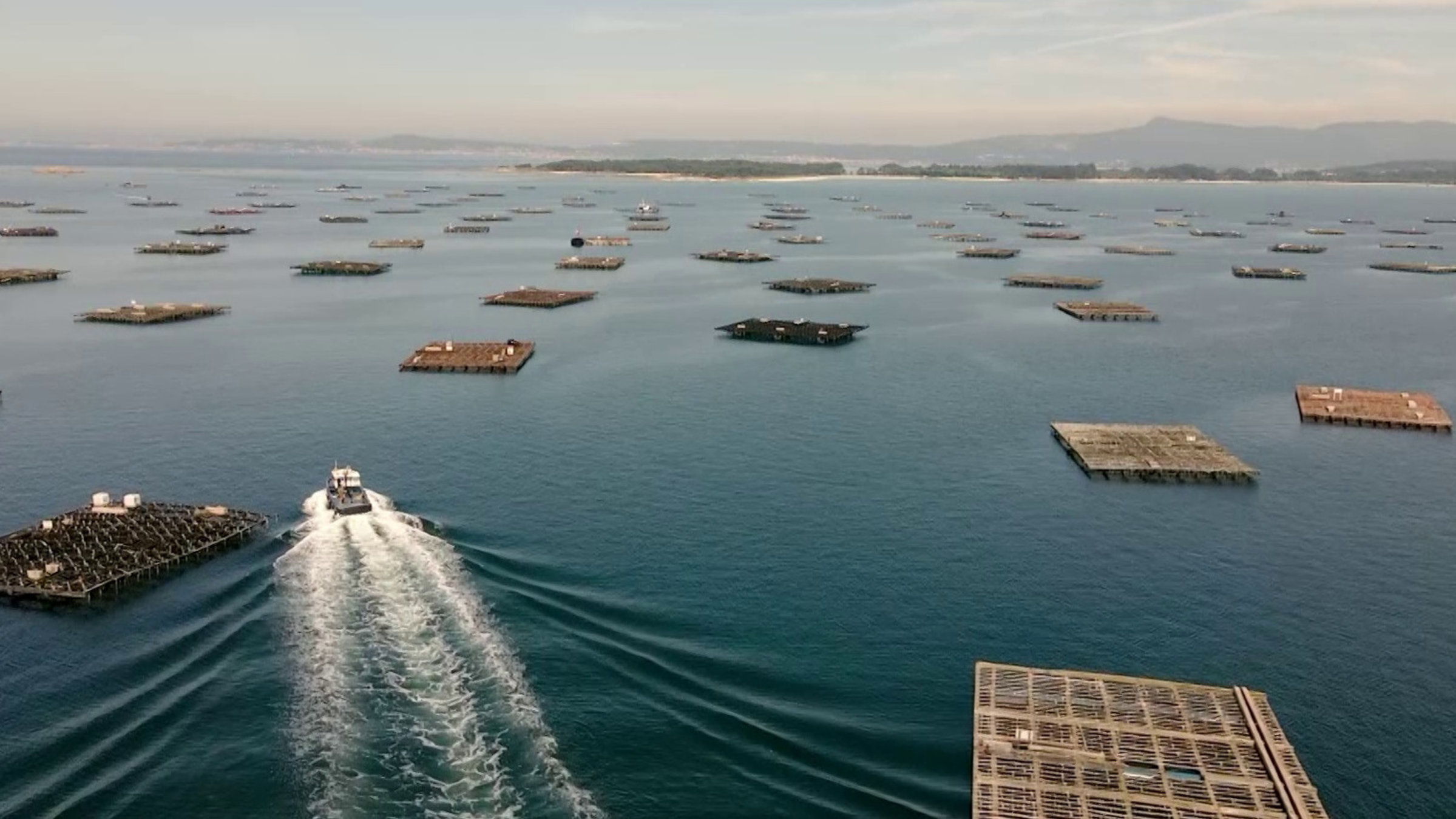 "Maritimes Erbe (5/6): Galiciens Küste": In der Ria de Arousa werden Muscheln gezüchte und in den weiten Sandbänken der Ria de Arousa ausgesetzt und Jahre später geerntet.