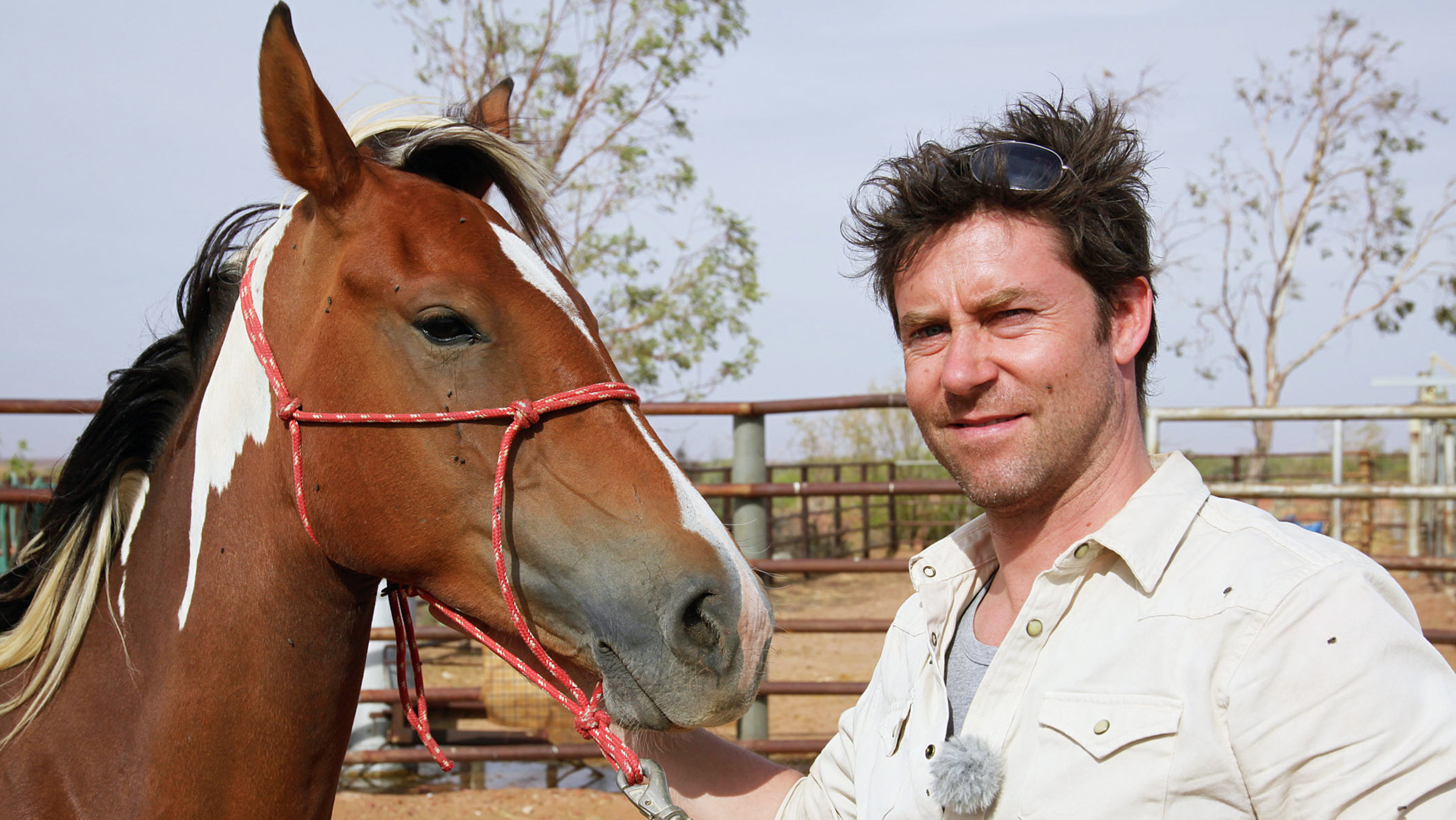 "12.378 km Australien: Sven Furrer auf Abwegen (2/6)": Sven Furrer - Erste Annäherung mit einem halbwilden Pferd auf der Clayton Station.