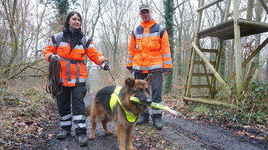 Terra Xpress - Verloren Im Wald Und Wohn-traum Geplatzt