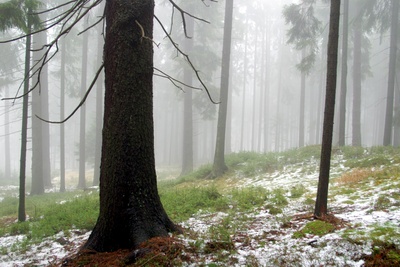 Waldviertel - Vom Zauber des rauen Landes
