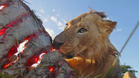 Serengeti (2/3)