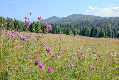 Raue Welten – Wilde Schönheiten: Kroatien