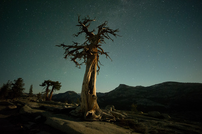 Amerikas Naturwunder: Yosemite