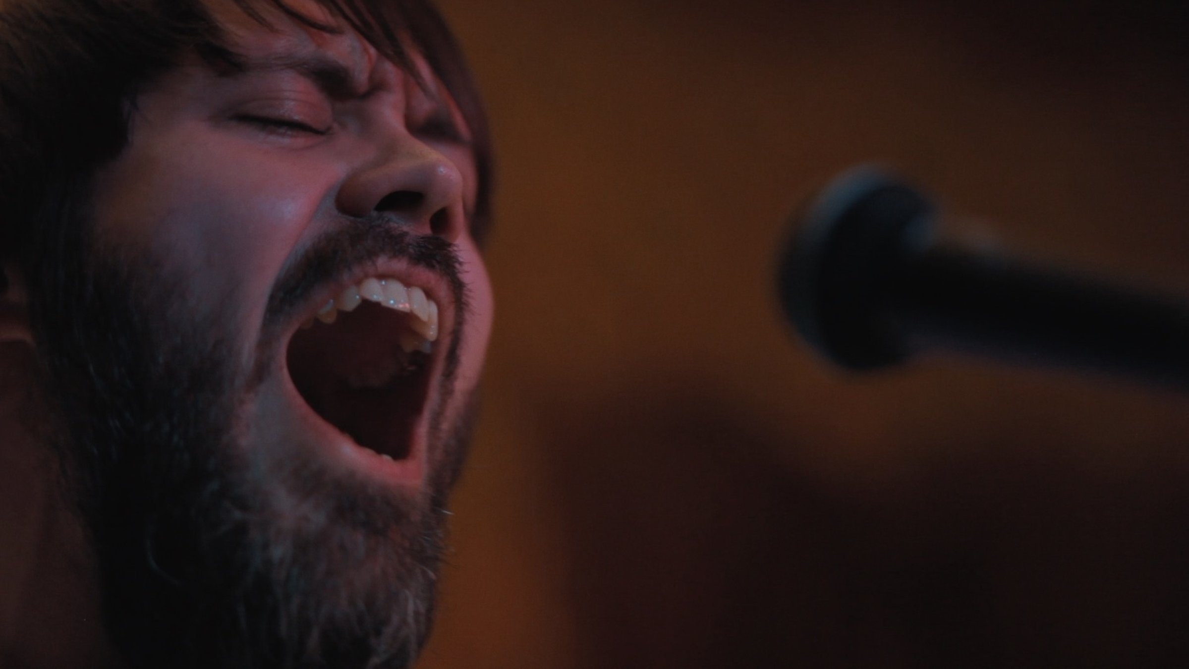 "Wie ein Fremder - Eine deutsche Popmusik-Geschichte - Heart": Kopf eines jungen, bärtigen Mannes in Großaufnahme, der mit geschlossenen Augen und geöffnetem Mund vor einem Mikrophon steht.