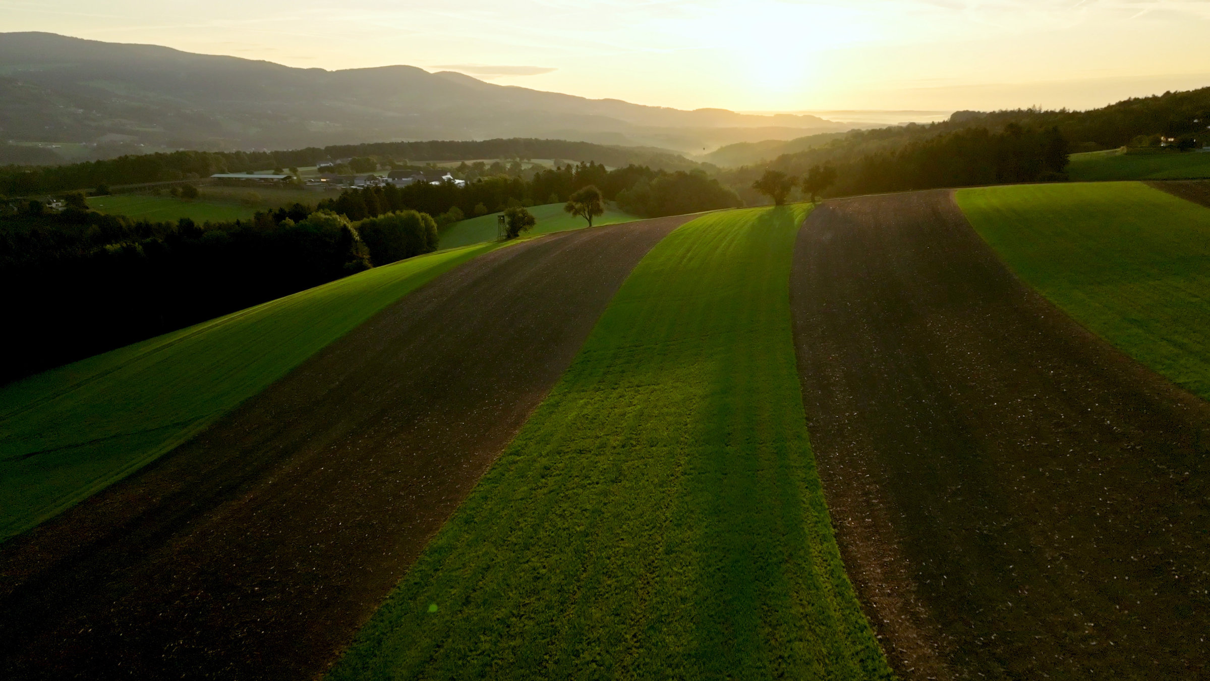 "Rund um das Pöllauer Tal": Morgenstimmung im Pöllauer Tal.
