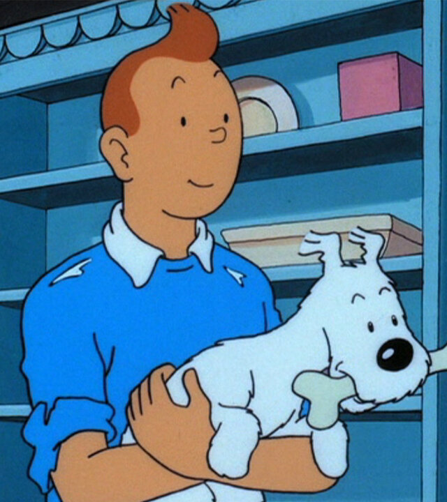 "Tim und Struppi – Die schwarze Insel (2)": Tim hält Struppi auf dem Arm. Struppi kaut auf einem großen Knochen. Im Hintergrund ist ein blaues Regal zu sehen.