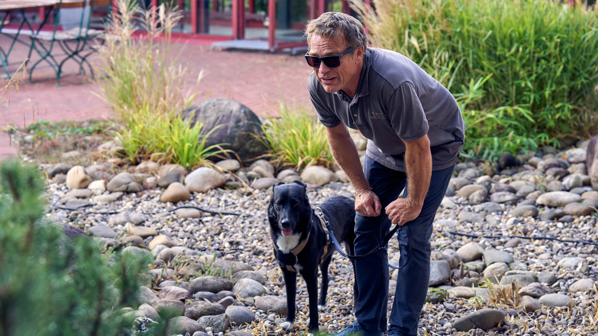 "SOKO Köln - Vor die Hunde": In einem Vorgarten aus Steinen und Kies steht Matti Wagner (Pierre Besson) mit Sonnenbrille gebückt zwischen Sträuchern. Neben ihm an der Leine hält er einen schwarzen Hund.